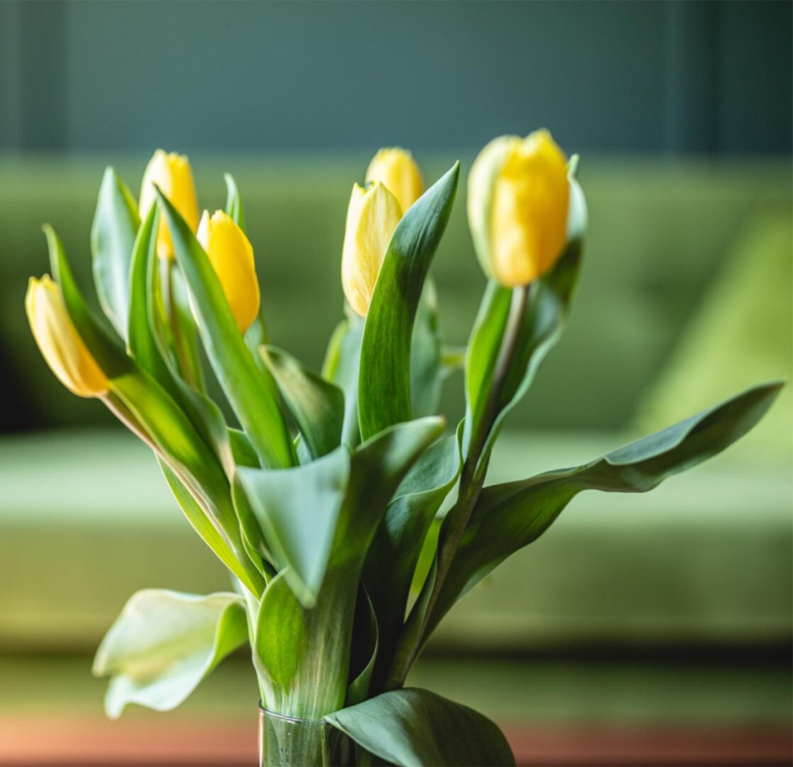 home-staging-2-2